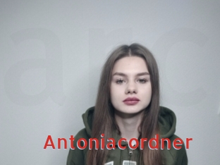 Antoniacordner
