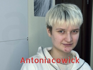 Antoniacowick