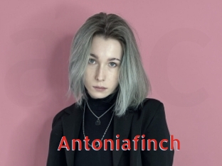 Antoniafinch