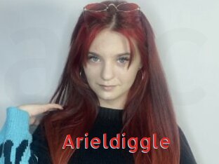 Arieldiggle