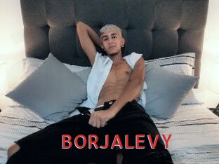 BORJALEVY