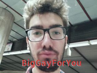 BigGayForYou