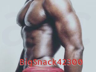 BigSnack42300