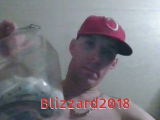 Blizzard2018