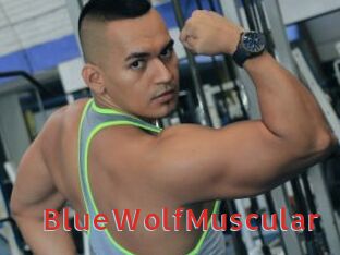 BlueWolfMuscular