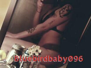 Bluebirdbaby096