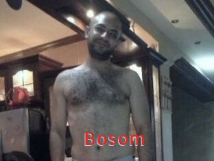 Bosom