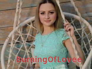 BurningOfLovee