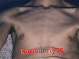 Badbunny75