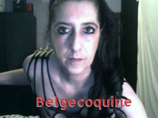 Belgecoquine