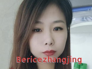 Bericezhangjing