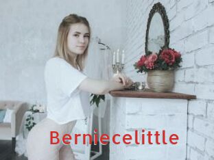 Berniecelittle