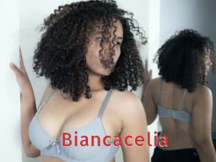 Biancacelia
