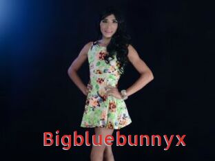 Bigbluebunnyx