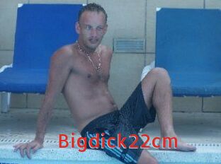 Bigdick22cm