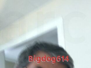 Bigdog614