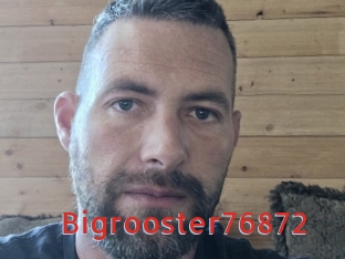 Bigrooster76872
