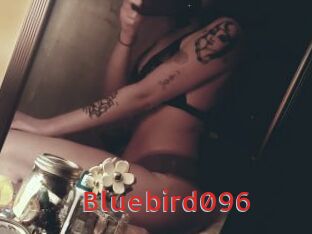 Bluebird096