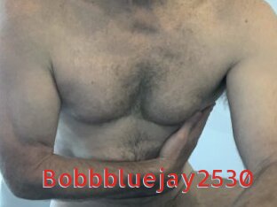 Bobbbluejay2530