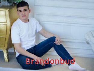 Brandonbud