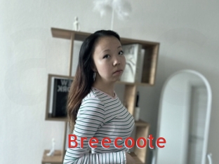 Breecoote
