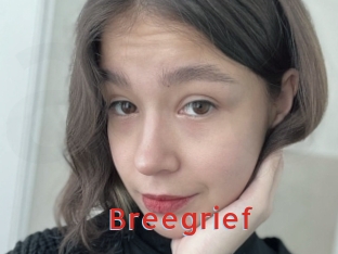 Breegrief