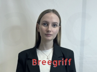 Breegriff