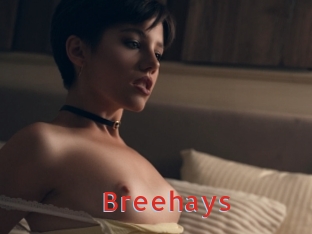 Breehays