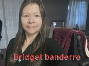 Bridget_banderro