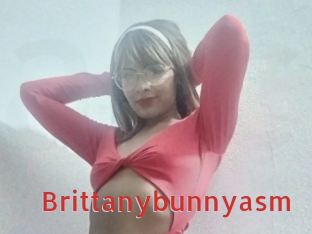 Brittanybunnyasm