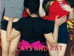 CATS_AND_BAT