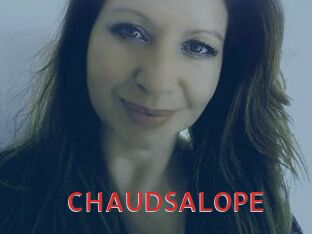 CHAUDSALOPE