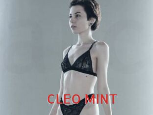 CLEO_MINT