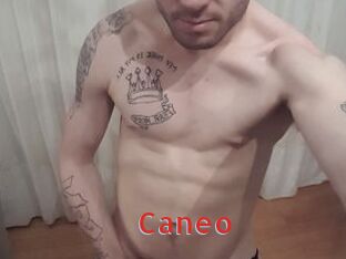 Caneo