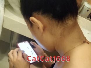 CatCat1668