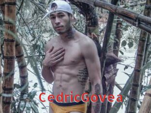CedricGovea