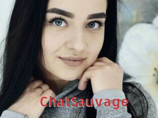 ChatSauvage