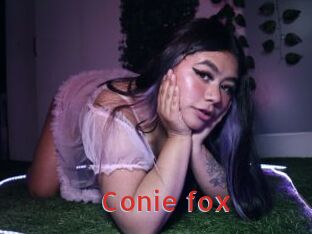 Conie_fox