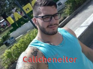 Calicheneitor