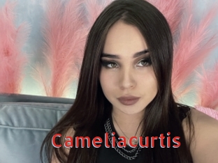 Cameliacurtis