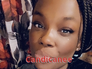 Candicanee
