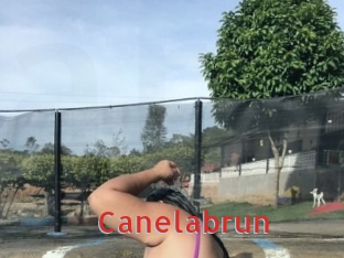 Canelabrun