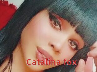 Catalina_fox