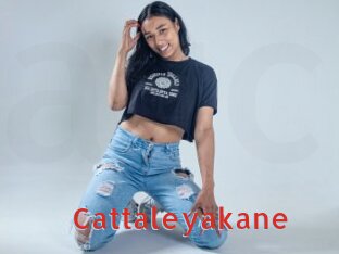 Cattaleyakane