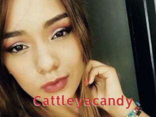 Cattleyacandy