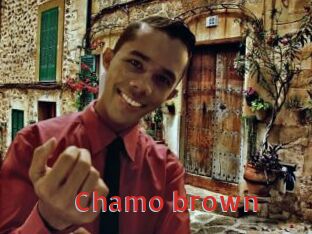 Chamo_brown