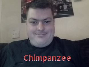 Chimpanzee
