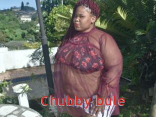 Chubby_bule