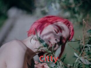 Citty