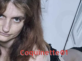 Coquinette01